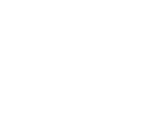 לוגו של מכון ויצמן למדע