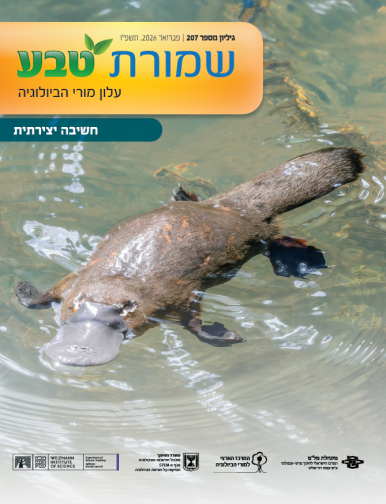 שמורת טבע 207 - כריכה