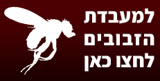 למעבדת הזבובים
