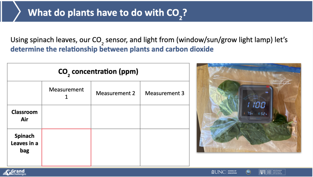 What do plants have to do with CO2?