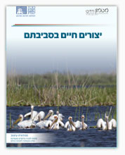 תמונת שער - יצורים חיים בסביבתם