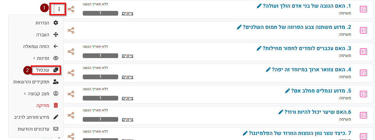 שכפול פריט אחד בתוך קורס