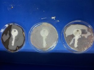 שלושה מפתחות בתמיסות כימיות