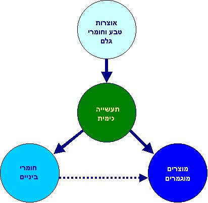 תרשים של הפיכת אוצרות טבע וחומרי גלם למוצרים בתעשייה הכימית