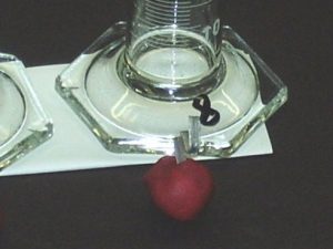 מערכת ניסוי 51