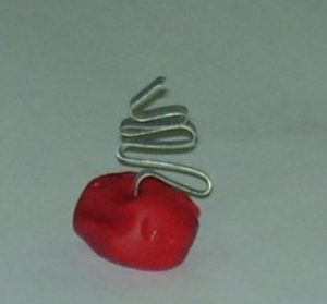 מערכת ניסוי 51