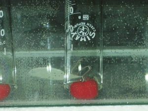 מערכת ניסוי 51