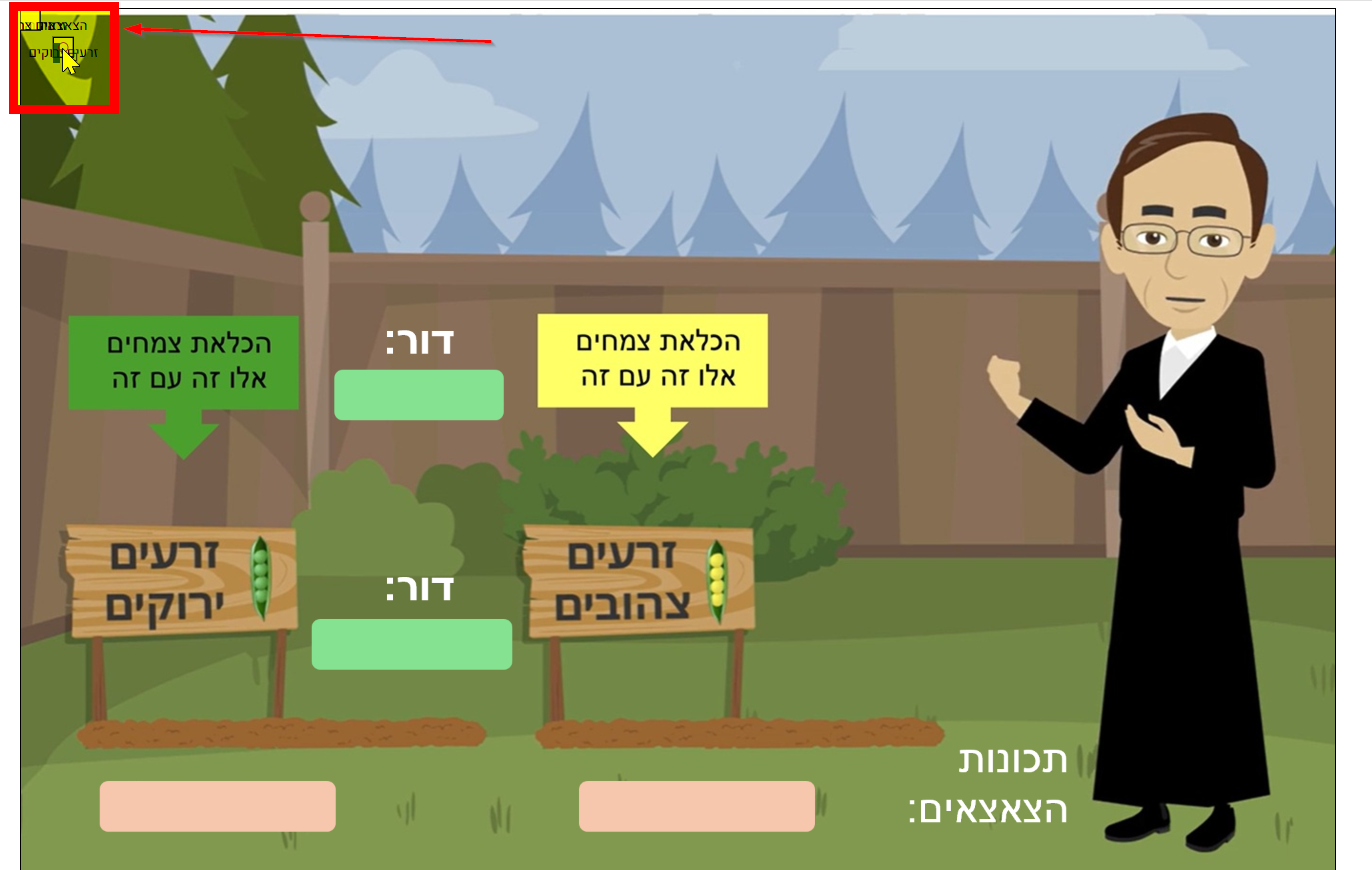 הגדרת אזורי גרירה מדויקים סוג שאלה: מיקום נקודות ציון על תמונה