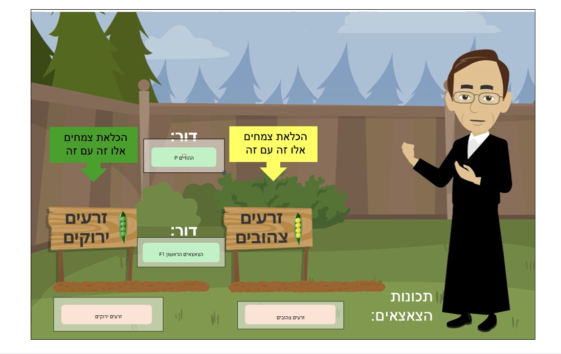 נראות תמונת הרקע לאחר הגדרת אזורי הגרירה.
סוג שאלה: מיקום נקודות ציון על תמונה