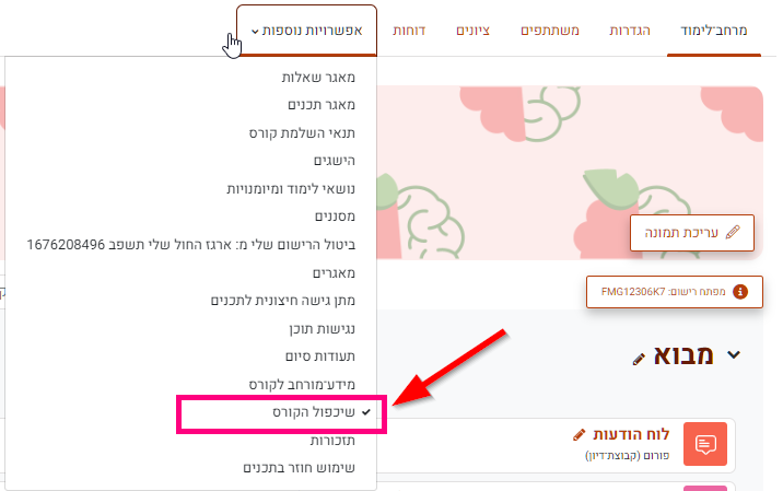 שכפול קורס קיים