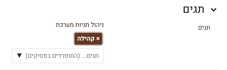 תגים בקורס