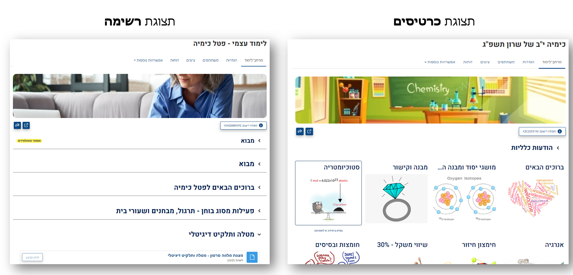 תצוגות קורס