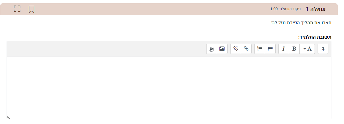 מענה לשאלה פתוחה עם מחוון מנקודת מבט של תלמיד