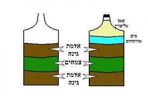 איור המציג את תהליך יצירת הדלקים המחצביים