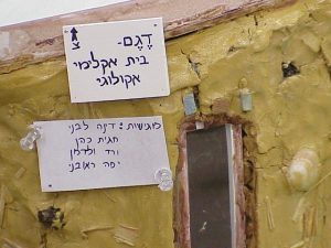 בית אקולוגי