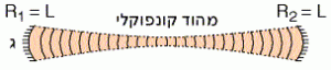 מהוד קונפוקלי