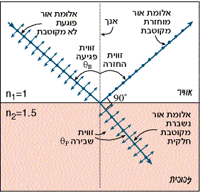 חוק ברוסטר