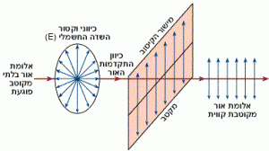 מעבר אור בלתי מקוטב דרך מקוטב