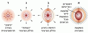 שלבים בתהליך המיזוג הגרעיני המבוקר של כדורון הדלק הגרעיני