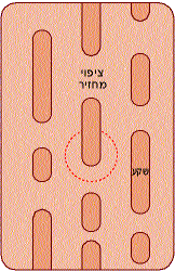 אלומת לייזר מאירה על פני התקליטור