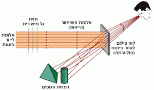 שיחזור הולוגרמה של שני הגופים