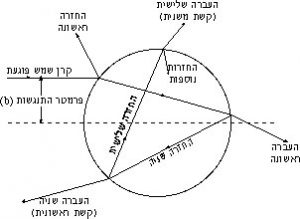 פירוט ההחזרות והשבירות בתוך טיפה
