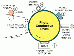 מערכת בסיסית לזירוגרפיה